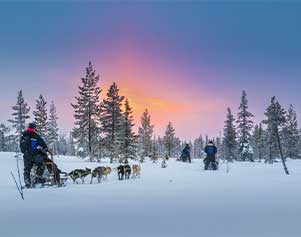 Hundeschlittenfahrt durch die Winterlandschaft von Finnisch Lappland