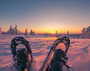 Lapplands Essenz: Schneeschuhtour im Nationalpark. 
