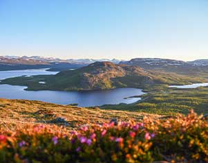 Naturschutzgebiet Malla luonnonpuisto - Suvi Mansikkasalo