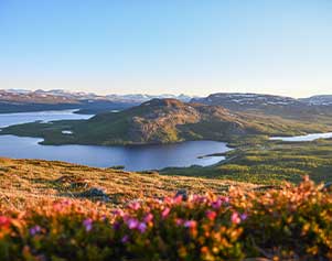 Naturschutzgebiet Malla luonnonpuisto - Suvi Mansikkasalo