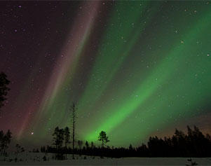 Nordlichter über dem Wald in Schwedisch Lappland - Loggers's Lodge. 