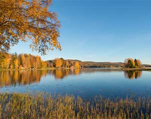 Herbststimmung in Schweden - Rikard Lagerberg Visit Sweden