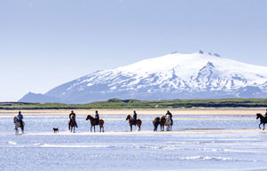 Pferde und Reiter vor dem Gletscher Snaefellsjökull in Island