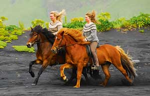 Isländische Reiter auf Islandpferden in Island.