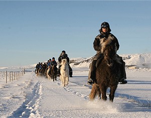 Reiter mit Ihren Pferden im Schnee.
