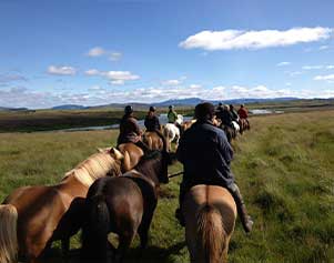 Reiten mit Handpferden in der Region Hekla. 