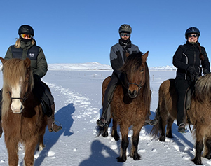 Erleben Sie den Winter Islands auf dem Rücken der Pferde