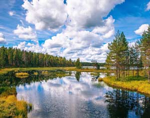 Finnlands Nationalparks sind geprägt durch Wälder, Moore und Seen. 