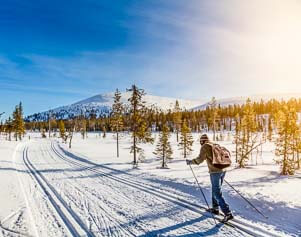 Ski-Langläufer unterwegs in Lappland