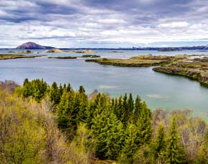 Der See Mývatn.
