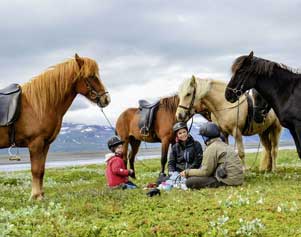 Auf den Spuren der Trolle an Islands Südküste