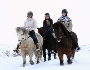 Pferde und Reiter im Schnee
