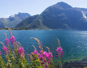 Sommer am Romsdalsfjord