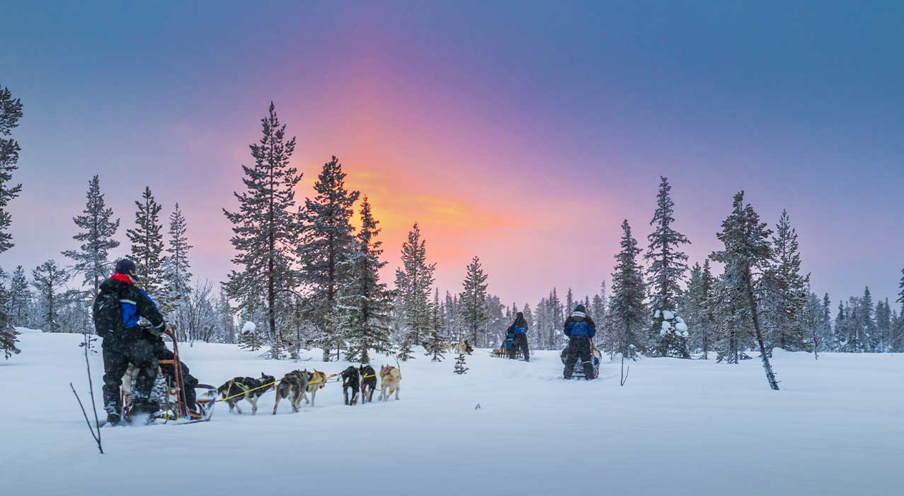 Hundeschlittenfahrt durch die Winterlandschaft von Finnisch Lappland. 