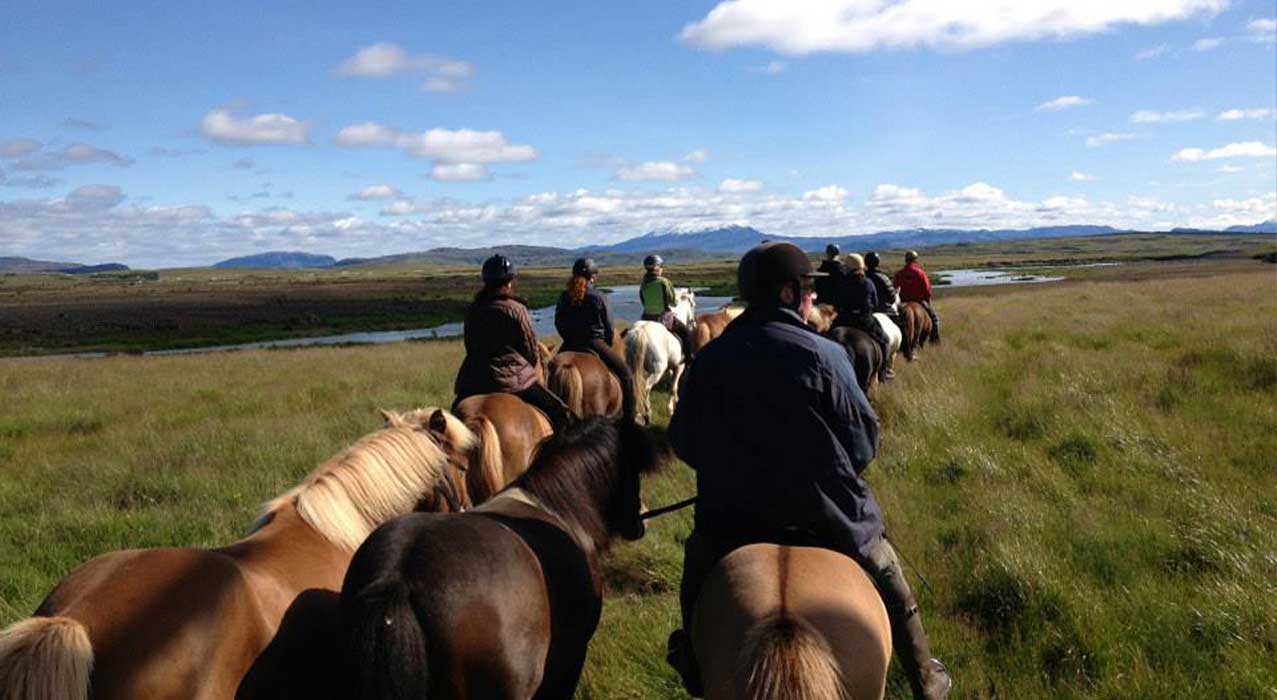 Reiten mit Handpferden in der Region Hekla. 