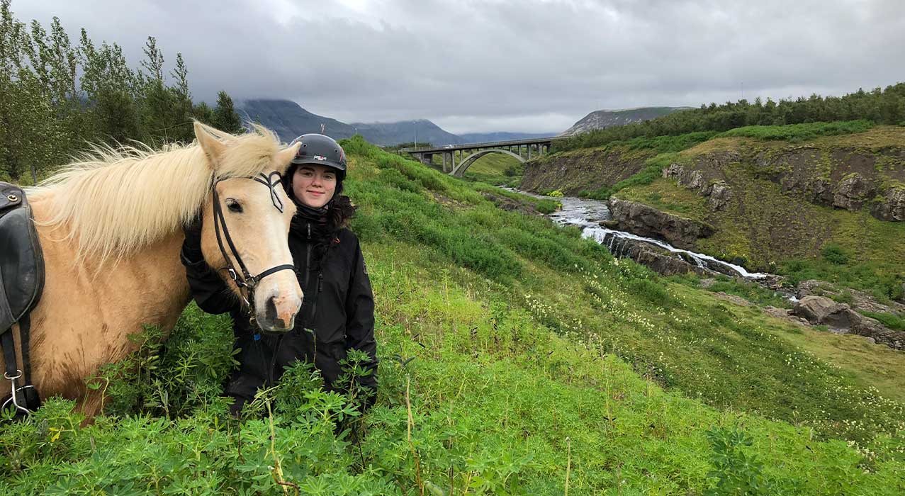 Reiterin mit Islandpferd in der Region Reykjavík von Exploring Iceland. 