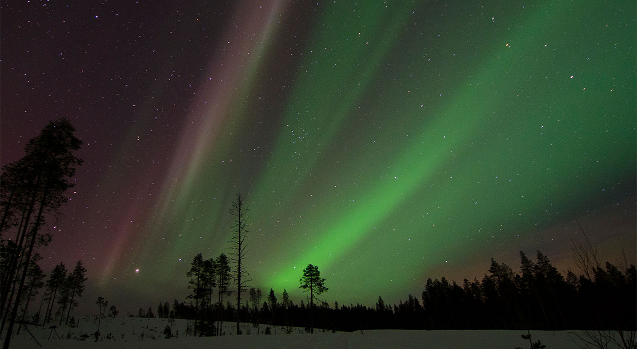 Nordlichter über dem Wald in Schwedisch Lappland - Loggers's Lodge. 