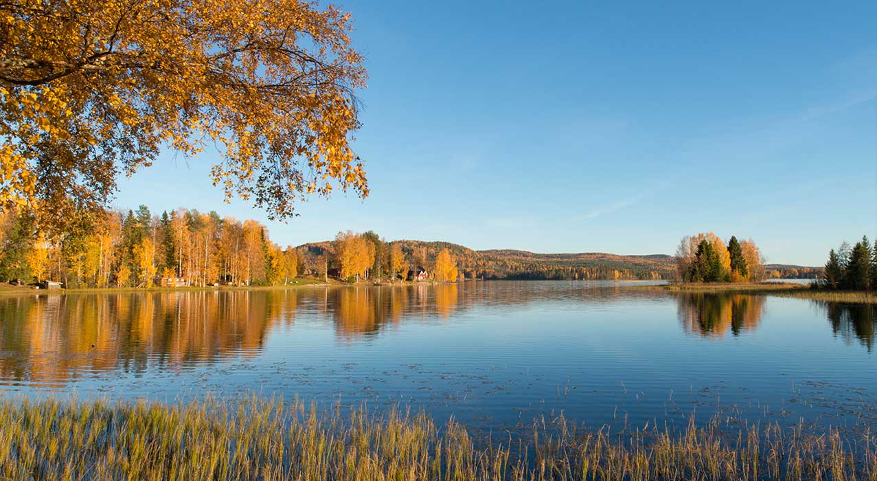 Herbststimmung in Schweden - Visit Sweden Rikard Lagerberg