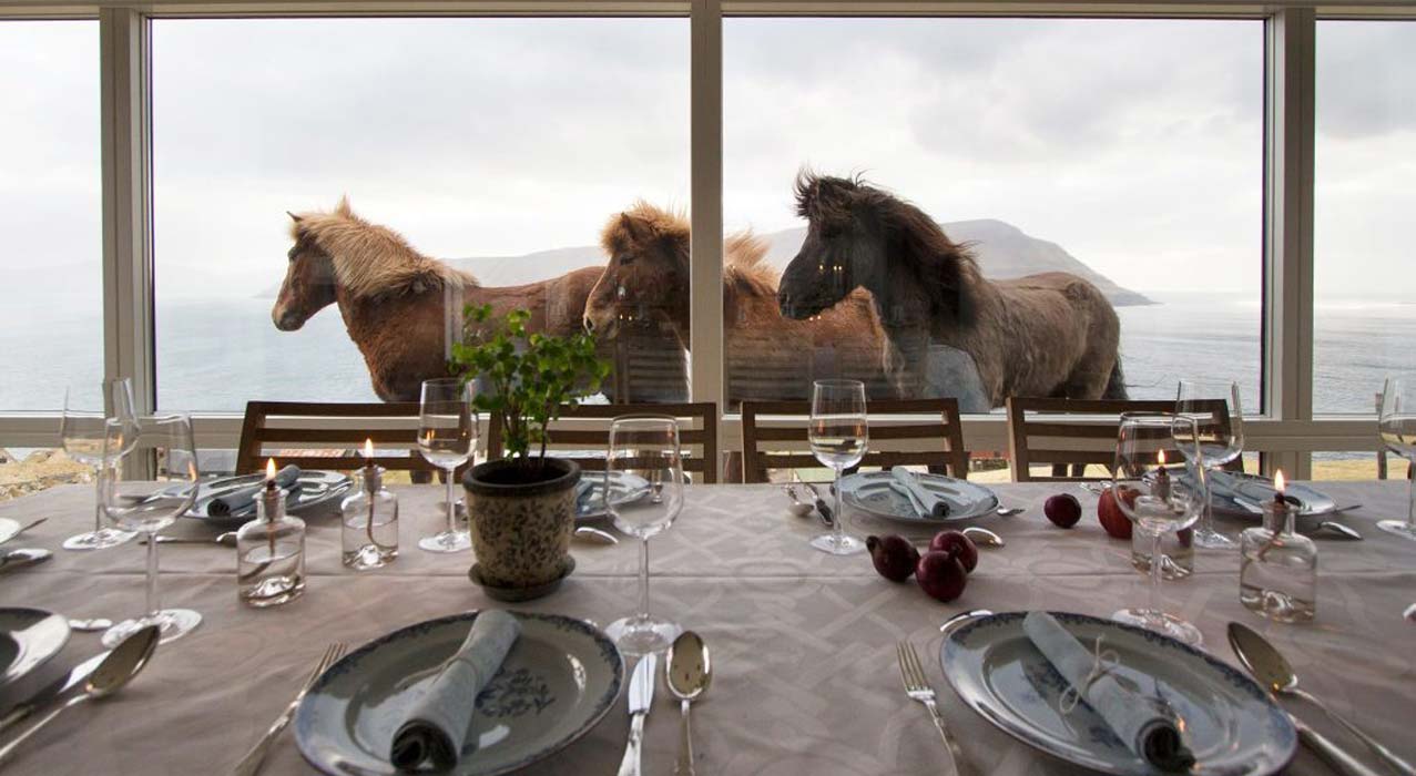 Pferde vor Restaurant auf den Färöer Inseln während einer Reittour