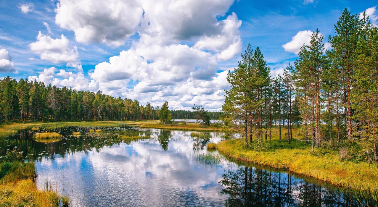 Finnlands Nationalparks sind geprägt durch Wälder, Moore und Seen. 