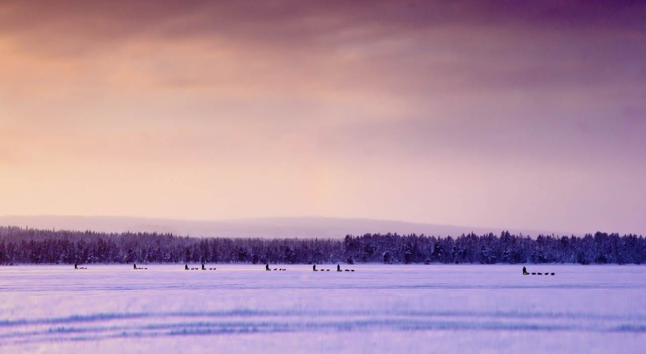 Hundeschlittenfahrt in Schweden