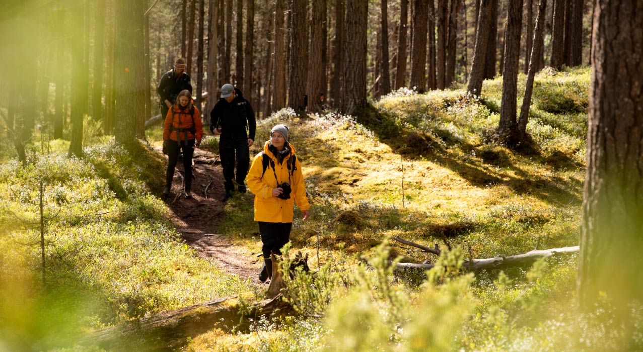 Wanderer auf einer Aktivreise in Finnisch Lappland