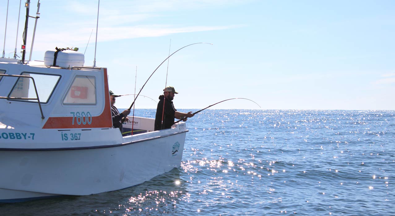 Mit dem Boot beim Hochseeangeln in Island