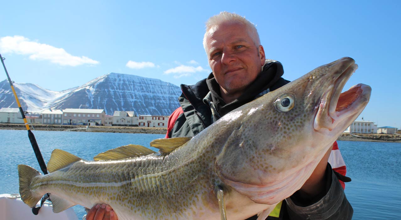 Grosser Fang beim Hochseefischen in Island