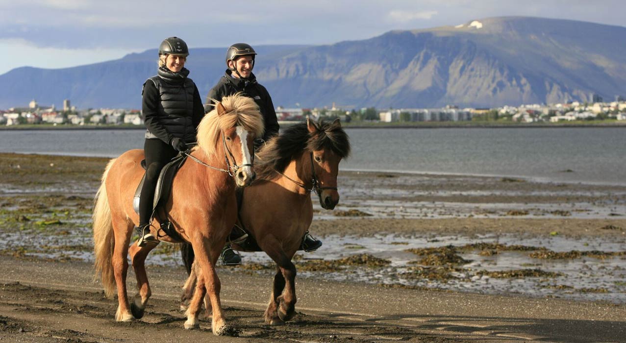 Reiter und Pferde in Westisland