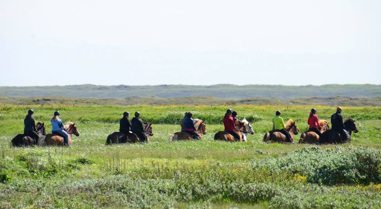 Reiter auf der Halbinsel Snaefellsness in Island