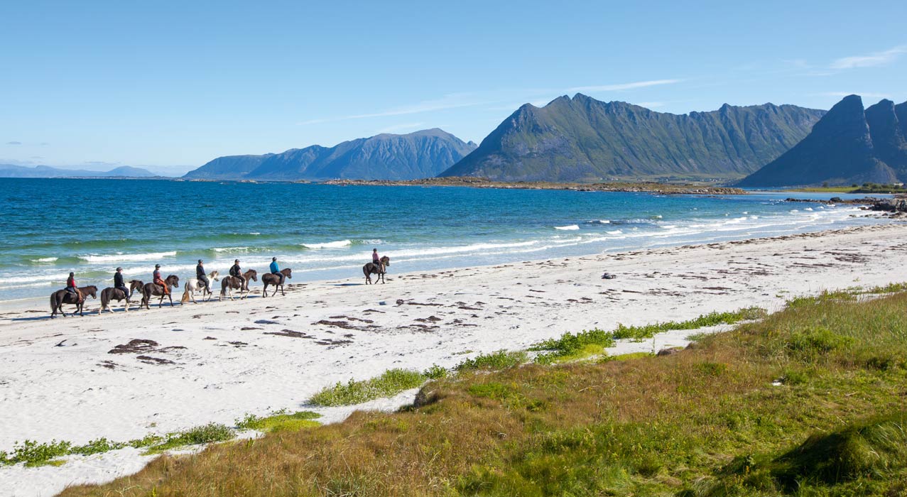 Ausritt am Strand auf der Reittour auf den Lofoten in Island