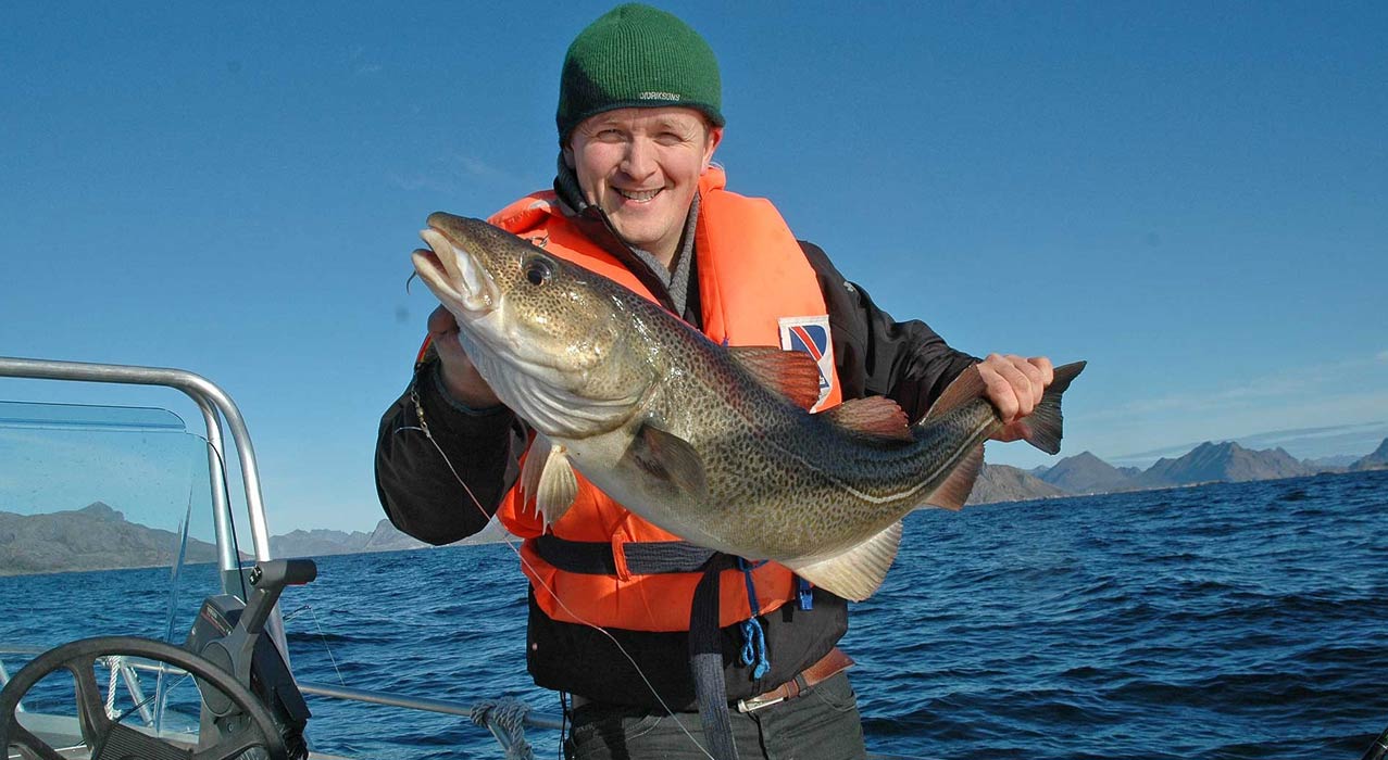 Fischer mit grossem Dorsch beim Hochseeangeln auf den Lofoten