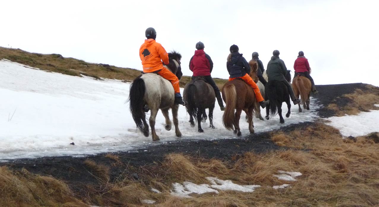 Pferd und Reiter bei Schnee