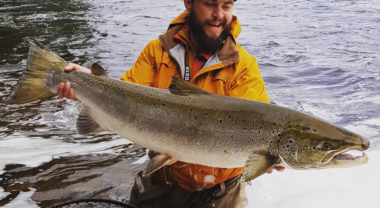 Kapitaler Lachs-Fang am Fluss Kalixälv in Schwedisch Lappland