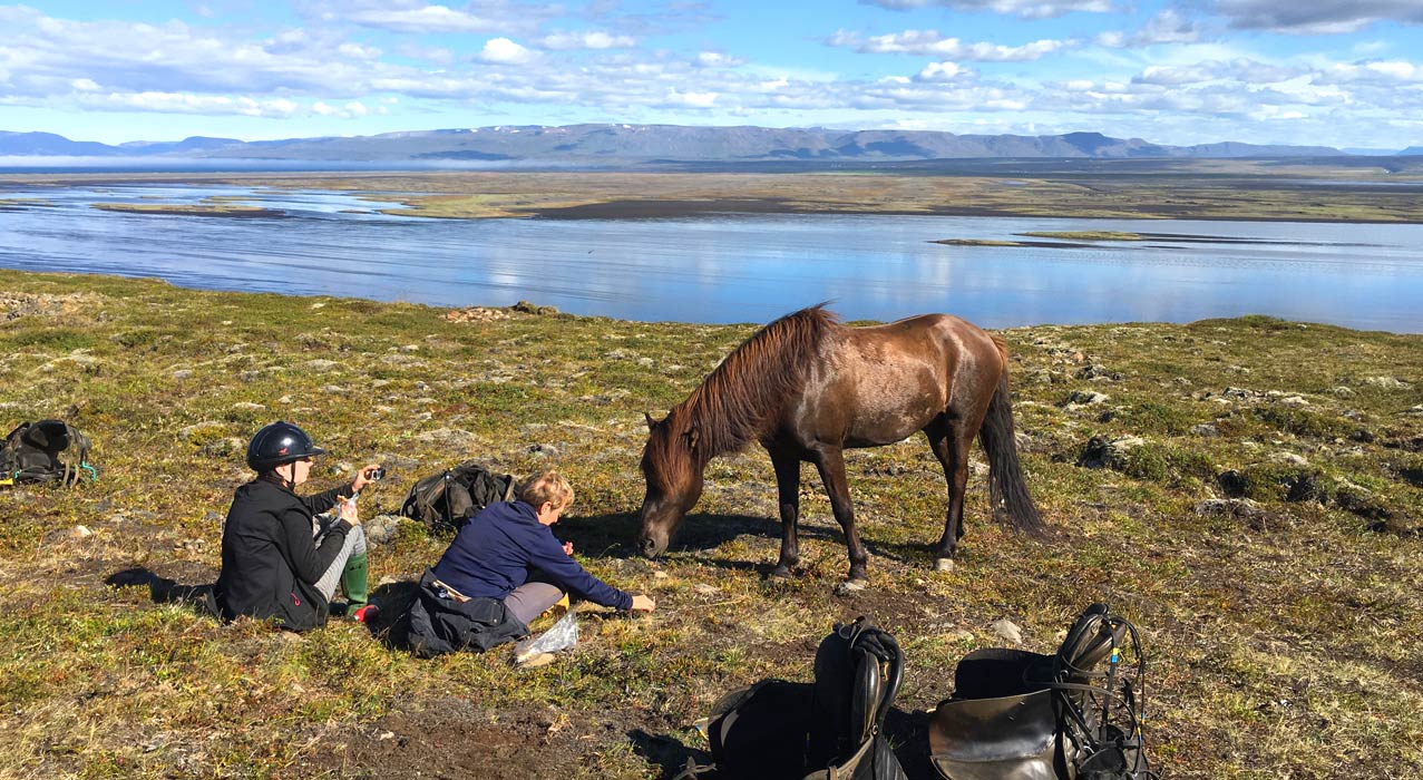 Pferde und Reiter vor dem See Hóp